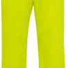 Securetech Multinorm Pu Bundhose - 040 warngelb - Back