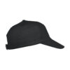 Texas Cap - 024065_99_TexasBullCap_R