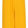 Dry Zone Pu Latzhose - 008 gelb - Front