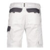 Dassy Roma Arbeitsshorts - 6141-weiss-zementgrau - Back