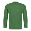 Dassy Serengeti Henley Langarm-Shirt - color_back-serengeti-elm-green