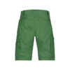 DASSY® Zion ARBEITSSHORTS - 0338-ulmengrün - Back