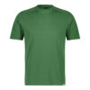 Dassy Fuji T-Shirt - color_front-fuji-elm-green