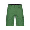 DASSY® Zion ARBEITSSHORTS - 0338-ulmengrün - Back