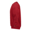 Dassy Lionel Sweatshirt - 0607-0683-rot - Back