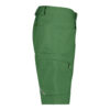 DASSY® Zion ARBEITSSHORTS - 0338-ulmengrün - Back